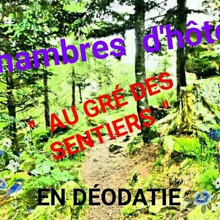 サン＝ディエ＝デ＝ヴォージュ Au Gre Des Sentiers Chez Marie Et Pierre Bed & Breakfast エクステリア 写真