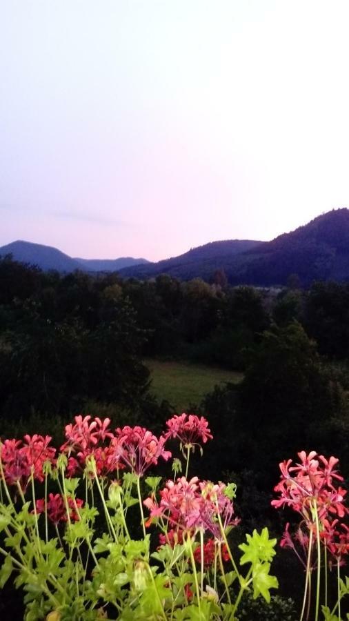 サン＝ディエ＝デ＝ヴォージュ Au Gre Des Sentiers Chez Marie Et Pierre Bed & Breakfast エクステリア 写真