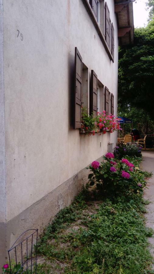 サン＝ディエ＝デ＝ヴォージュ Au Gre Des Sentiers Chez Marie Et Pierre Bed & Breakfast エクステリア 写真