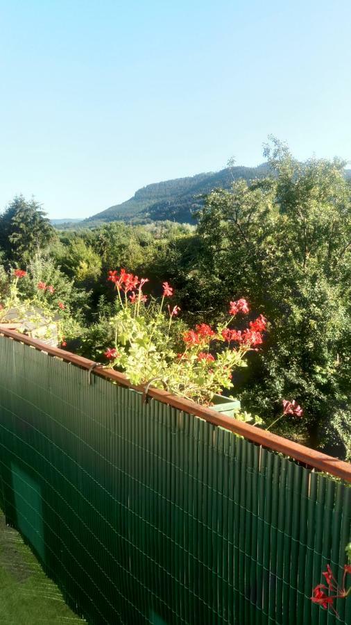 サン＝ディエ＝デ＝ヴォージュ Au Gre Des Sentiers Chez Marie Et Pierre Bed & Breakfast エクステリア 写真
