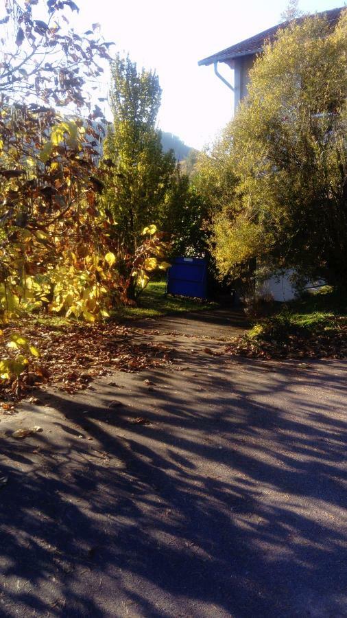 サン＝ディエ＝デ＝ヴォージュ Au Gre Des Sentiers Chez Marie Et Pierre Bed & Breakfast エクステリア 写真