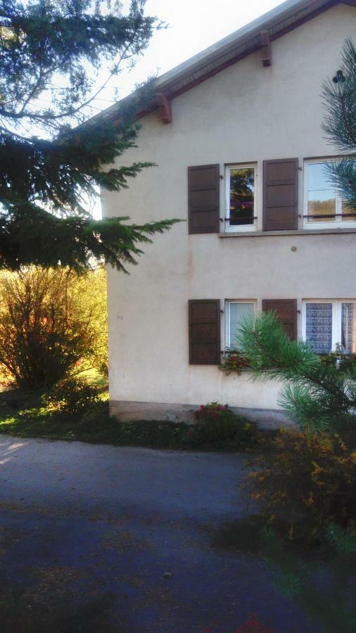 サン＝ディエ＝デ＝ヴォージュ Au Gre Des Sentiers Chez Marie Et Pierre Bed & Breakfast エクステリア 写真
